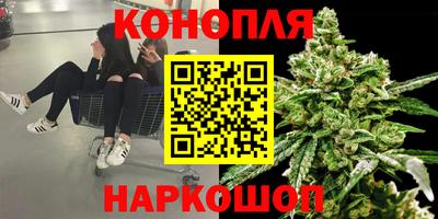 ECSTASY Гудермес