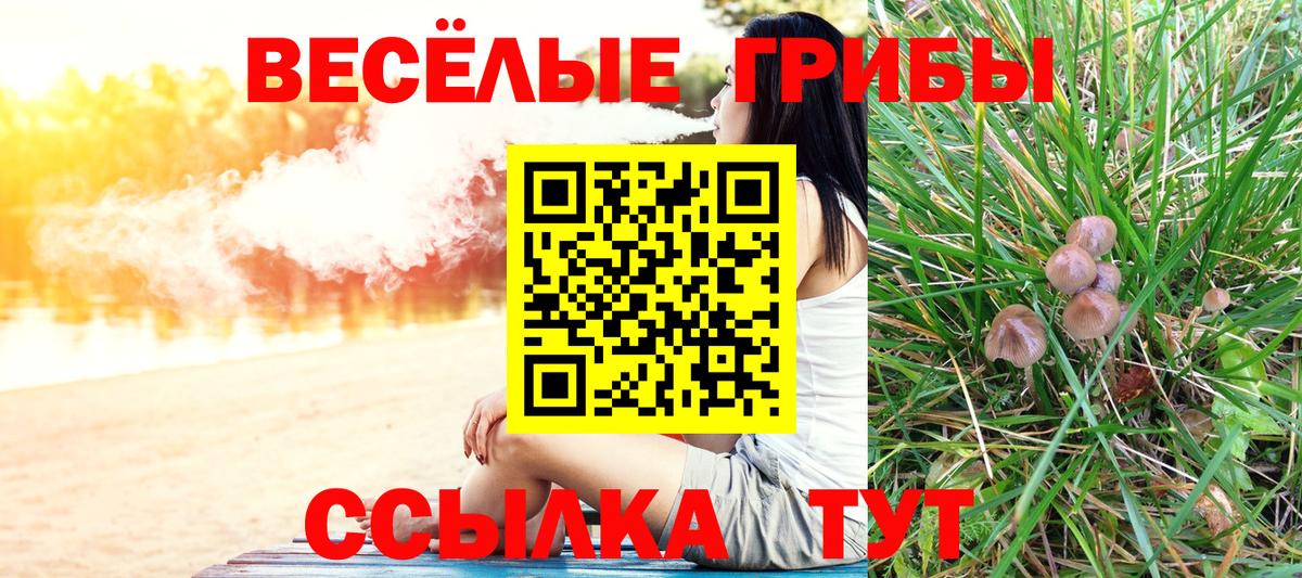купить наркотики сайты  Галлюциногенные грибы MAGIC MUSHROOMS  Псилоцибиновые грибы Magic Shrooms  Вход с VPN  Астрахань 